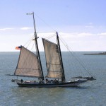 Sailboat - Photograph by Bob Kopki
